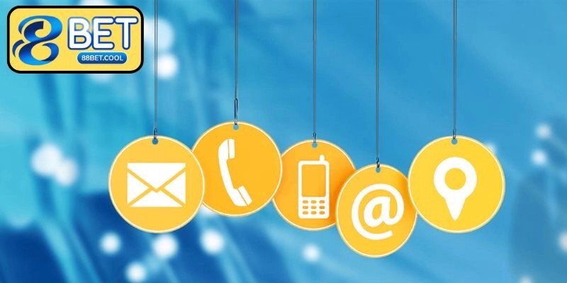 Liên hệ nhà cái qua livechat