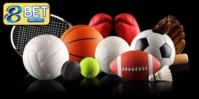 Thoả sức khám phá cùng vô số hình thức vui chơi hấp dẫn