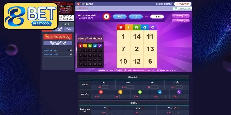 Khám phá Bingo nhiều cửa cược