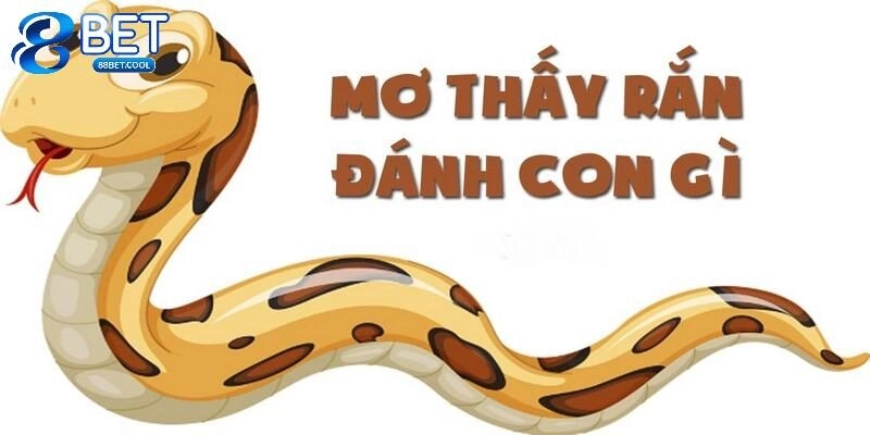 Mơ Thấy Rắn Là Điềm Tốt Hay Xấu Cùng Con Số Ẩn Đằng Sau